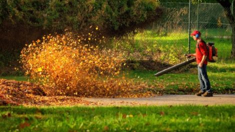 Cordless Leaf Blowers