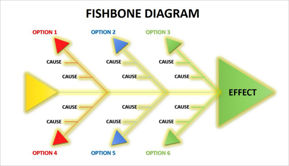 Fishbone Diagram